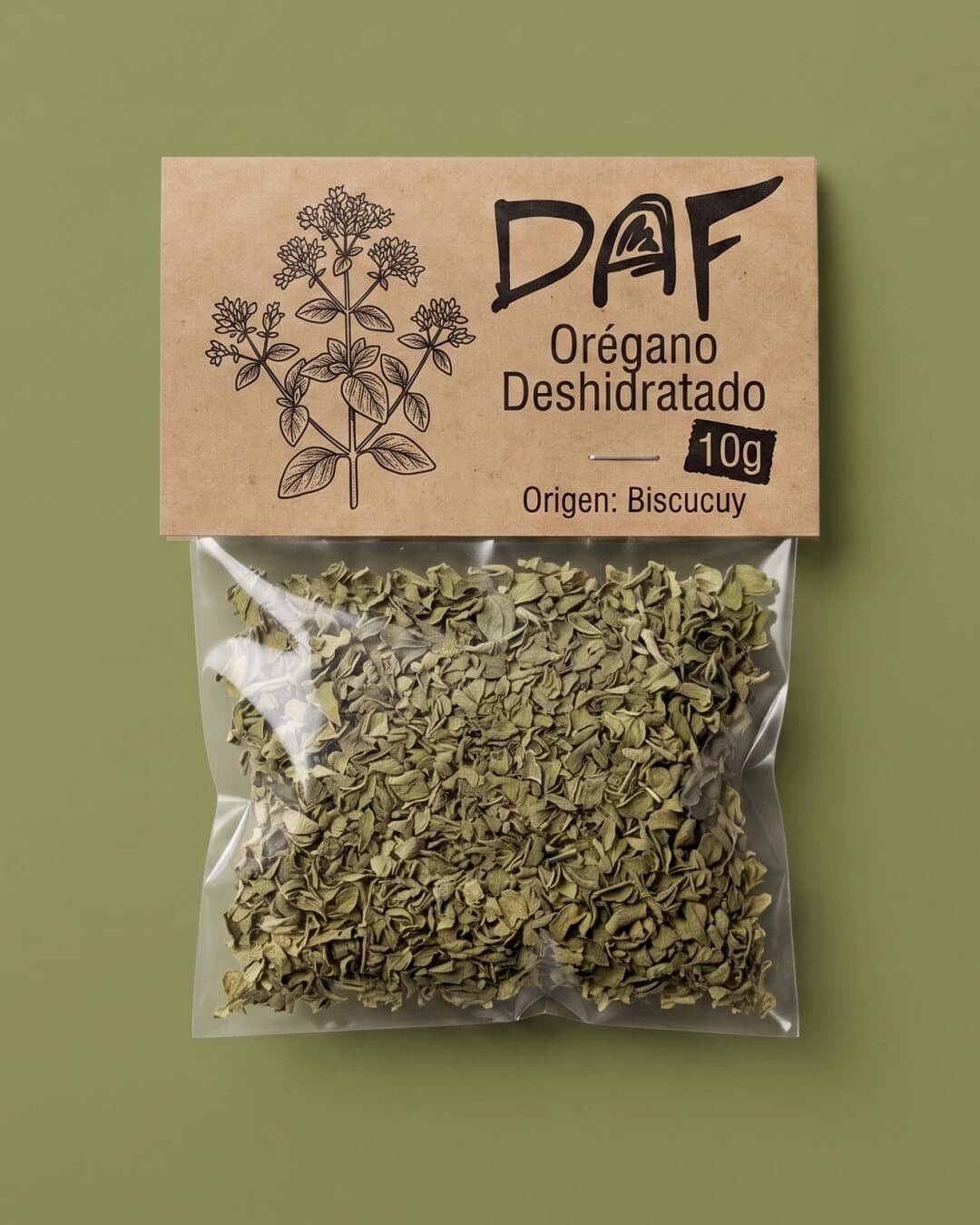 Orégano